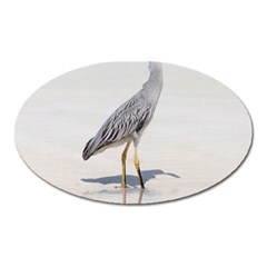 Beach Heron Bird Oval Magnet by TheLazyPineapple