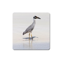 Beach Heron Bird Square Magnet by TheLazyPineapple
