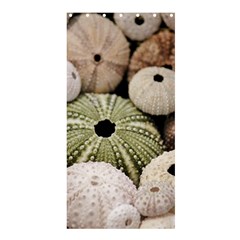 Sea Urchins Shower Curtain 36  X 72  (stall)  by TheLazyPineapple