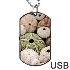 Sea Urchins Dog Tag Usb Flash (two Sides) by TheLazyPineapple