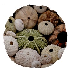 Sea Urchins Large 18  Premium Flano Round Cushions by TheLazyPineapple
