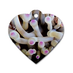 Sea Anemone Dog Tag Heart (two Sides)