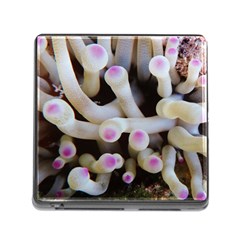 Sea Anemone Memory Card Reader (square 5 Slot) by TheLazyPineapple