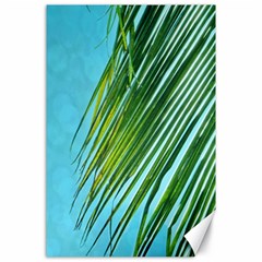 Tropical Palm Canvas 24  X 36  by TheLazyPineapple