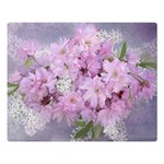 Nature Landscape Cherry Blossoms Double Sided Flano Blanket (Large)  Blanket Back