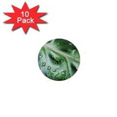 Green Wet Rain Water Drops Plant 1  Mini Buttons (10 Pack) 