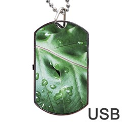 Green Wet Rain Water Drops Plant Dog Tag Usb Flash (one Side) by Vaneshart