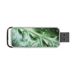 Green Wet Rain Water Drops Plant Portable Usb Flash (one Side) by Vaneshart