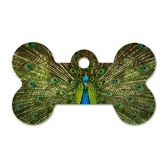 Peacock Feathers Bird Nature Dog Tag Bone (Two Sides)