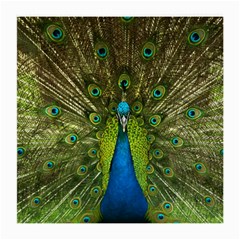 Peacock Feathers Bird Nature Medium Glasses Cloth by Vaneshart