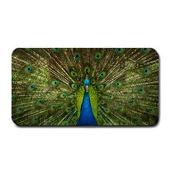 Peacock Feathers Bird Nature Medium Bar Mats by Vaneshart