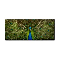 Peacock Feathers Bird Nature Hand Towel