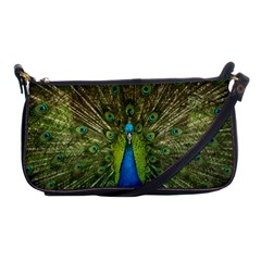 Peacock Feathers Bird Nature Shoulder Clutch Bag