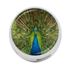 Peacock Feathers Bird Nature 4-Port USB Hub (Two Sides)