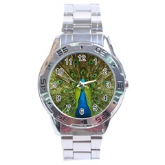 Peacock Feathers Bird Nature Stainless Steel Analogue Watch