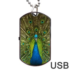 Peacock Feathers Bird Nature Dog Tag Usb Flash (two Sides)
