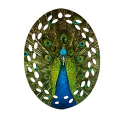 Peacock Feathers Bird Nature Oval Filigree Ornament (two Sides)