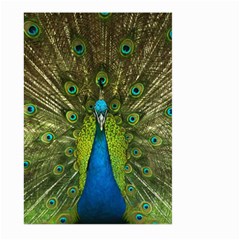 Peacock Feathers Bird Nature Large Garden Flag (two Sides)