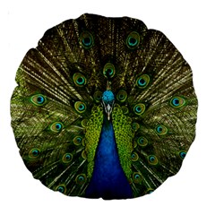 Peacock Feathers Bird Nature Large 18  Premium Round Cushions