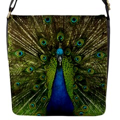 Peacock Feathers Bird Nature Flap Closure Messenger Bag (S)