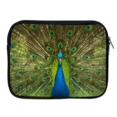 Peacock Feathers Bird Nature Apple iPad 2/3/4 Zipper Cases