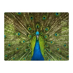 Peacock Feathers Bird Nature Double Sided Flano Blanket (Mini) 