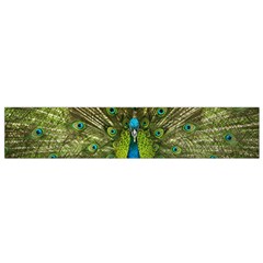 Peacock Feathers Bird Nature Small Flano Scarf