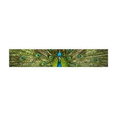 Peacock Feathers Bird Nature Flano Scarf (Mini)