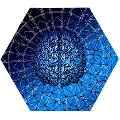 Brain Web Network Spiral Think Wooden Puzzle Hexagon by Vaneshart