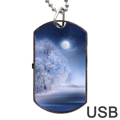 Nature Landscape Winter Dog Tag Usb Flash (two Sides)