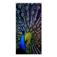 Peacock Colors Bird Colorful Shower Curtain 36  X 72  (stall) 
