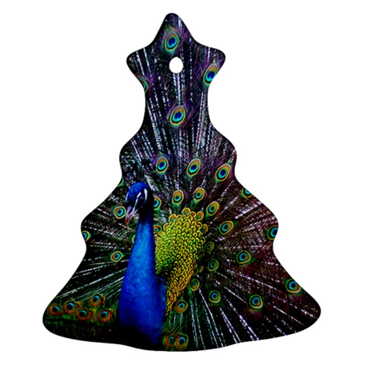 Peacock Colors Bird Colorful Christmas Tree Ornament (Two Sides)