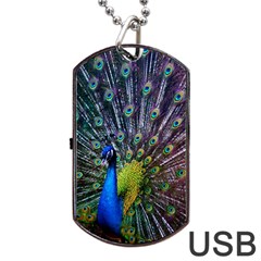 Peacock Colors Bird Colorful Dog Tag Usb Flash (two Sides)