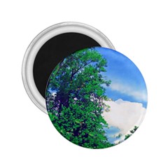 Drawing Of A Summer Day 2 25  Magnets by Fractalsandkaleidoscopes