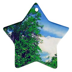 Drawing Of A Summer Day Ornament (star) by Fractalsandkaleidoscopes