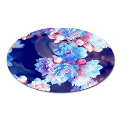 Flowers Oval Magnet by Sparkle