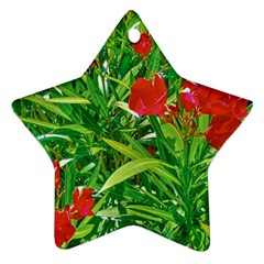 Red Flowers And Green Plants At Outdoor Garden Star Ornament (two Sides) by dflcprintsclothing