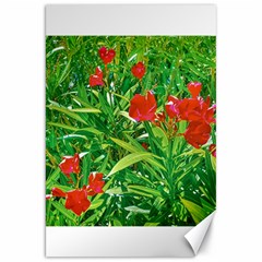 Red Flowers And Green Plants At Outdoor Garden Canvas 20  X 30  by dflcprintsclothing