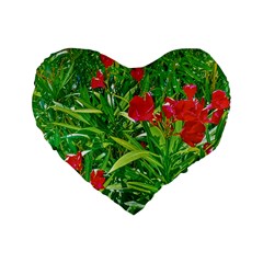 Red Flowers And Green Plants At Outdoor Garden Standard 16  Premium Heart Shape Cushions by dflcprintsclothing