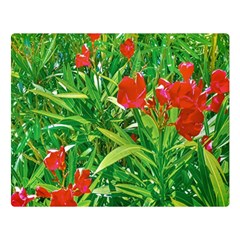 Red Flowers And Green Plants At Outdoor Garden Double Sided Flano Blanket (large)  by dflcprintsclothing