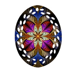 Fractal Flower Fantasy Pattern Ornament (oval Filigree) by Wegoenart