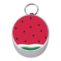 Minimalist Summer Watermelon Wallpaper Mini Silver Compasses by Nexatart