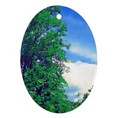 The Deep Blue Sky Oval Ornament (two Sides) by Fractalsandkaleidoscopes