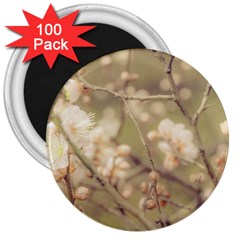 Sakura Flowers, Imperial Palace Park, Tokyo, Japan 3  Magnets (100 Pack) by dflcprintsclothing