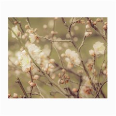 Sakura Flowers, Imperial Palace Park, Tokyo, Japan Small Glasses Cloth by dflcprintsclothing