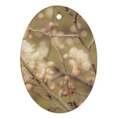 Sakura Flowers, Imperial Palace Park, Tokyo, Japan Oval Ornament (two Sides) by dflcprintsclothing