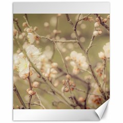 Sakura Flowers, Imperial Palace Park, Tokyo, Japan Canvas 16  X 20  by dflcprintsclothing