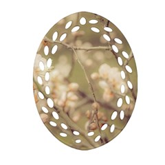 Sakura Flowers, Imperial Palace Park, Tokyo, Japan Ornament (Oval Filigree)