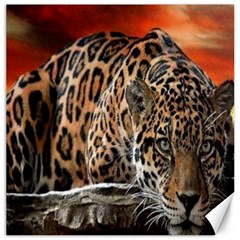 Nature With Tiger Canvas 16  X 16  by Sparkle