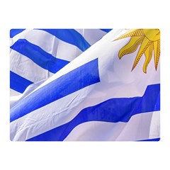 Uruguay Flags Waving Double Sided Flano Blanket (mini)  by dflcprintsclothing